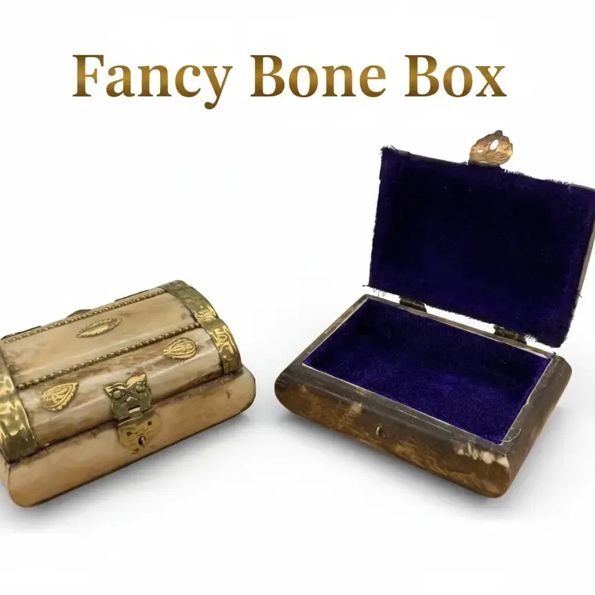 Tribal Bone and Cowry Jewelry