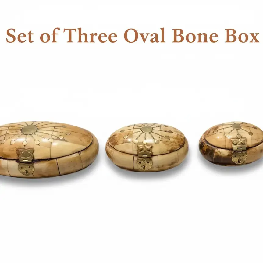 Tribal Bone and Cowry Jewelry